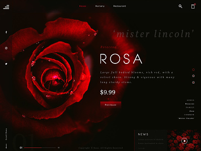 Red Rose Landing Page design landing page ui web