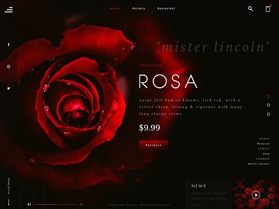 Red Rose Landing Page