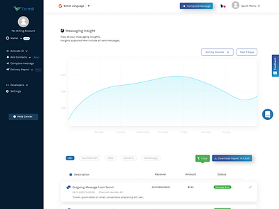 Direct Insight  page for Termii