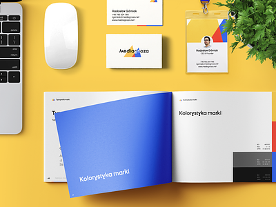 Mediagnoza - Stationery items 2d adobe illustrator agency blue brand brand book brand design branding business bussiness card chart color company design logo paper red typography yellow