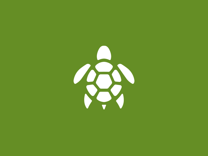 Turtle logo by Damian Patkowski on Dribbble