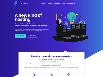 Hosting website ui ux web design website websites