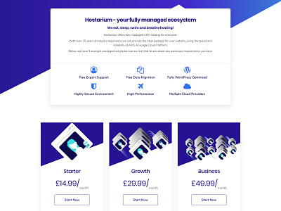 hosting pricing ui ux