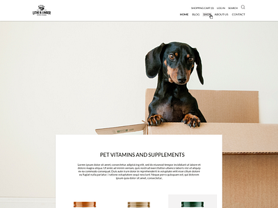 Pet Supplements Website design homepage pets webdesign