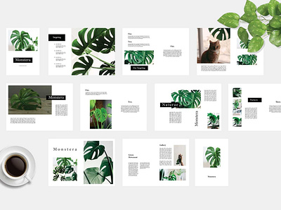 Monstera - Botanical Megazine botanical botanical illustration branding brochure business catalogue clean elegant magazine modern portfolio template