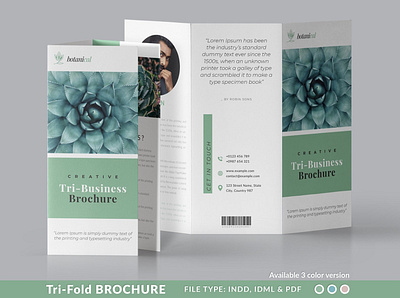 Minimal TriFold Brochure branding brochure brochure design business catalogue clean download elegant magazine modern portfolio template trifold