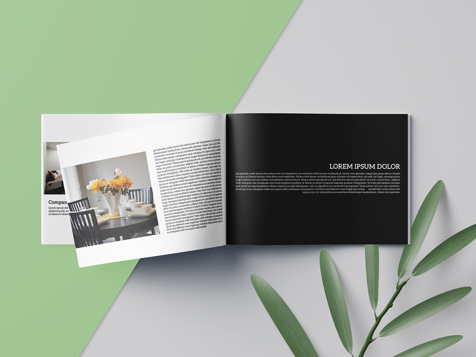 Interior Designer Brochure Template by Brochure Design on Dribbble