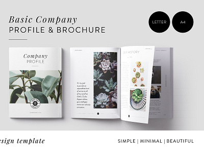 Minimal Company Profile + Brochure branding brochure business catalog catalogue clean clothing design editorial elegant fashion feminine indesign lookbook magazine modern portfolio proposal studio template