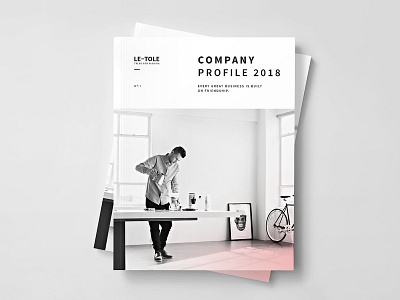 Fashion Company Profile branding brochure business catalog catalogue clean clothing design editorial elegant fashion feminine indesign lookbook magazine modern portfolio proposal studio template