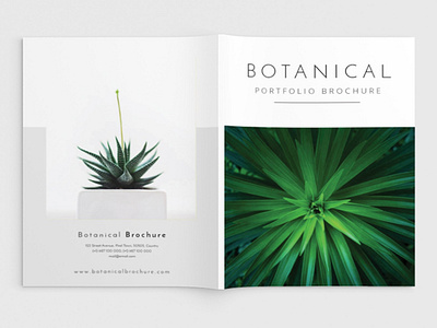 Botanical Portfolio botanical art botanical illustration botanical portfolio branding brochure business catalogue clean design editorial elegant fashion indesign lookbook magazine modern portfolio proposal studio template