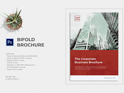 Bifold Brochure bifold branding brochure business catalog catalogue clean design editorial elegant fashion feminine indesign lookbook magazine modern portfolio proposal studio template