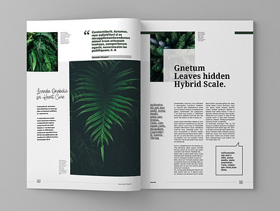 Nature Vegetico - Magazine Template branding brochure business catalogue clean elegant magazine modern nature nature illustration portfolio template vegetico