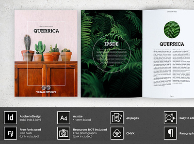 TANTALUS Multipurpose brochure branding brochure brochure design brochure mockup business catalogue clean editorial elegant indesign lookbook magazine modern multipurpose portfolio template