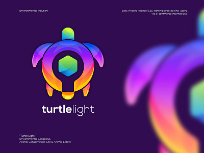 Turtle Light Logo app branding colorful design icon illustration logo ui vector web