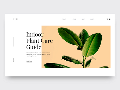 HNDM Plant Store colors design homepage design minimal typography ui ux web website