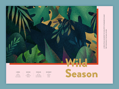 Wild Season brochure brochure design color design illustration typography