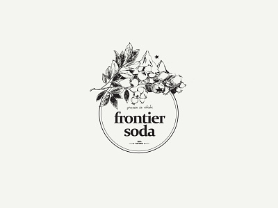 Frontier Soda Logo alaska alcoholic berry beverage logo blueberries brand identity circle logo fermentation grapes logo logodesign mountain serif typeface soda star typography usa vintage wine winery