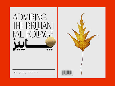 Autumn Pastime! autumn leaves dribbbleweeklywarmup font family trend trend 2020 trend design trend design 2020 trend typography typography poster vintage