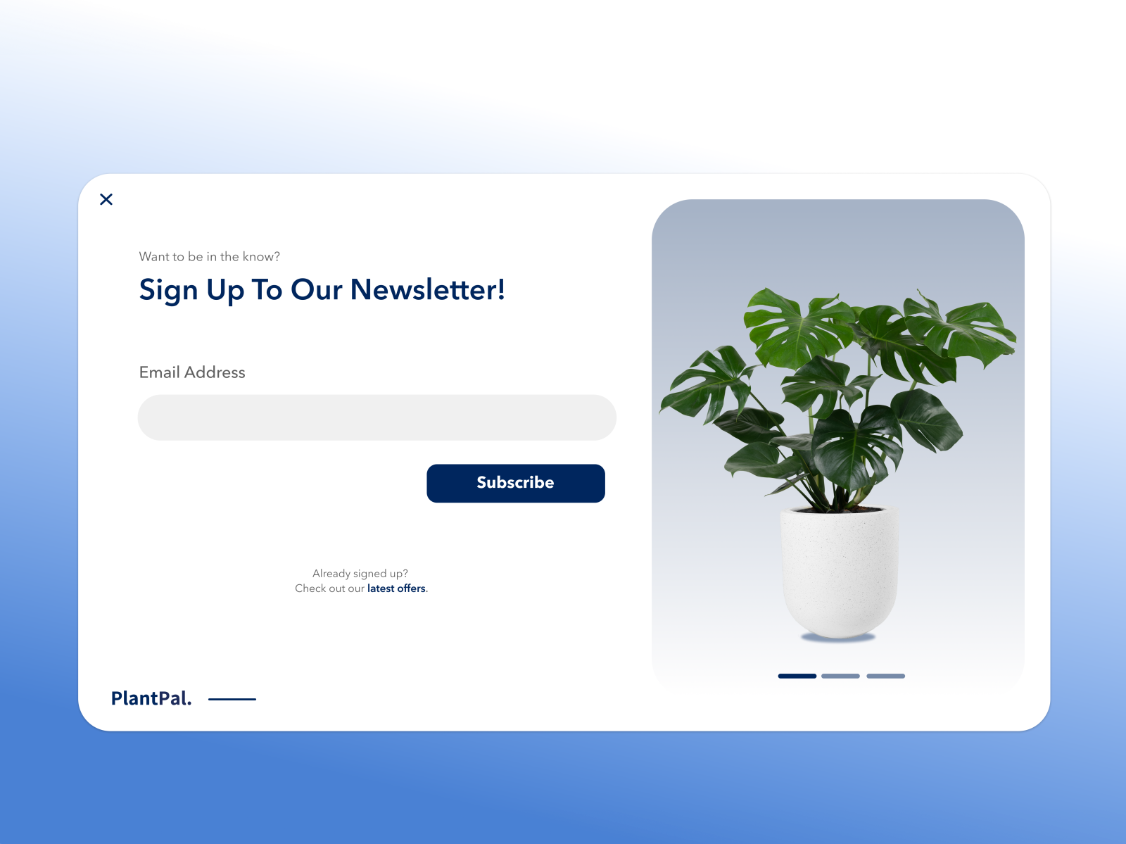 Day 001 — PlantPal 100 days UI challenge 🪴 by Kate Alcock on Dribbble