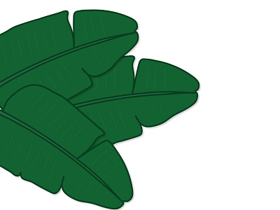 Banana leaf | Illustration 🌿 adobeillustator design flat flat design graphic design illustration leaf vector