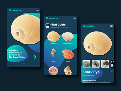 Shellpicker - UI app beach design mobile seashell shell ui uxui
