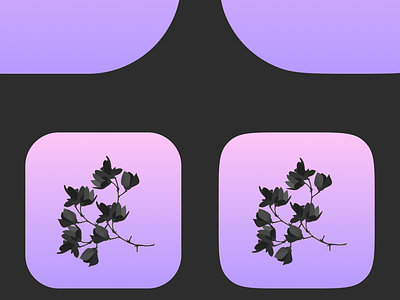 Rounded Rectangle vs Squircle app app icon black dreamy flowers gradient iphone x logo pink squircle ui