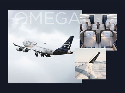 Omega Airlines Identity