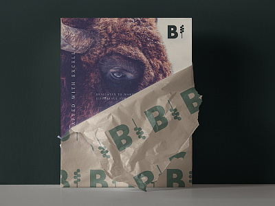 Buffalo brand branding brandingdesign brandingidentity brandinspiration creative design designinspiration graphicdesign logodesign visionaryplayground vpagency