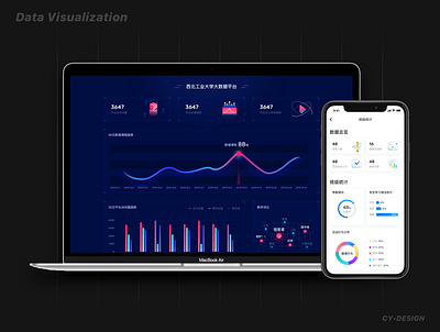 data visualization PC&APP ：）～～