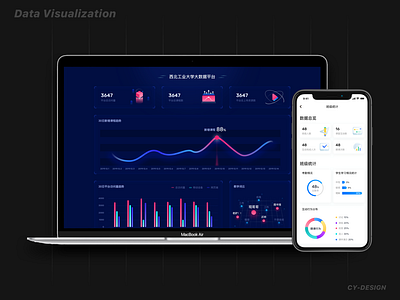 data visualization PC&APP