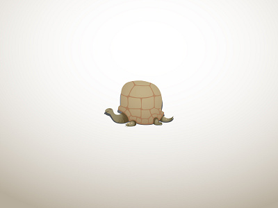 turtle illustration