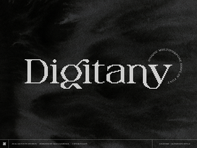 Digitany Serif-Bitmap display font clever display font flat font logo logo designs shoots simple simple designs type typogaphy