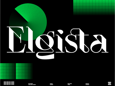 Elgista - Display Font display font font lettering logo logo designs minimalist modern simple type typeface
