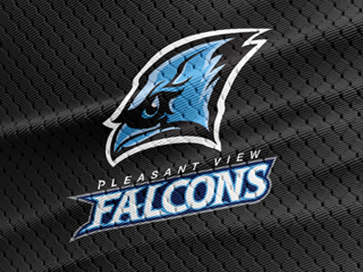 Pleasant View Falcons branding falcon illustration logo sports