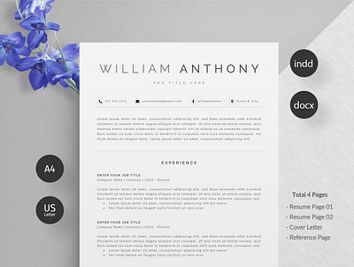 Resume/CV clean resume creative resume curriculum vitae cv template modern modern resume professional resume resume template template