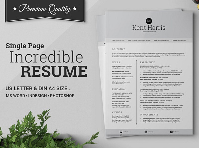 Incredible Single Page Resume clean resume creative resume curriculum vitae cv template download free incredible modern modern resume professional resume resume template singlepage template