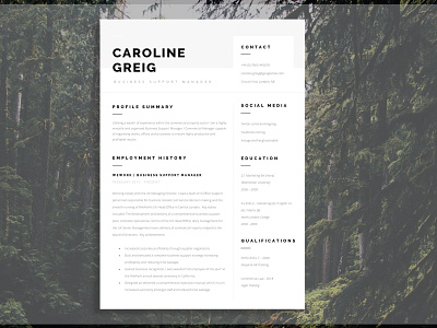 Professional Resume clean resume creative resume curriculum vitae cv template download free modern modern resume professional professional logo resume resume cv resume template template