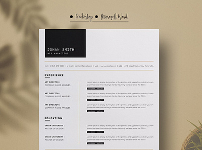 Resume/CV clean resume creative resume curriculum vitae cv cv template modern modern resume professional resume resume template template