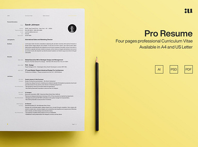 Pro Resume Template clean resume creative resume curriculum vitae cv cv template modern modern resume professional resume resume template template