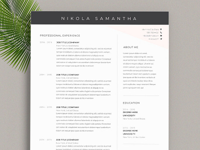 Resume clean resume creative resume curriculum vitae cv cv template download free modern modern resume professional resume resume cv resume template template