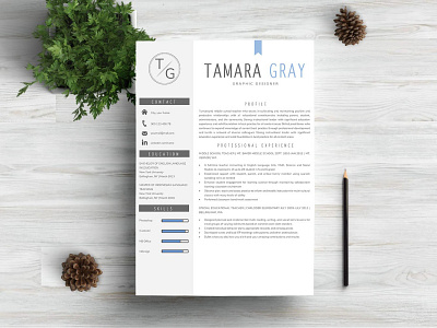 Professional Clean CV Resume Pages clean resume creative resume curriculum vitae cv template download free modern modern resume professional professional resume resume resume template template