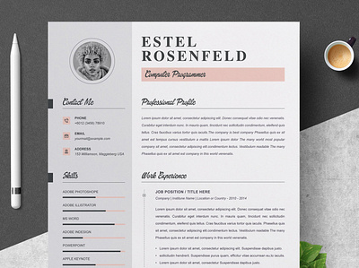 Professional Resume Template clean resume creative resume curriculum vitae cv cv template download download mockup free modern modern resume professional resume resume template template