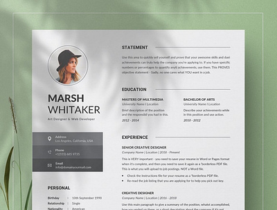 Resume/CV Word clean resume creative resume curriculum vitae cv template modern modern resume professional resume resume template template