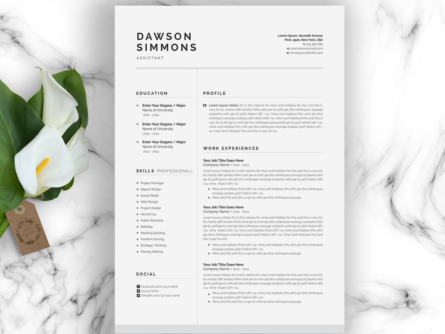 Resume Template 3 Page Cv Template By Resume Templates On Dribbble