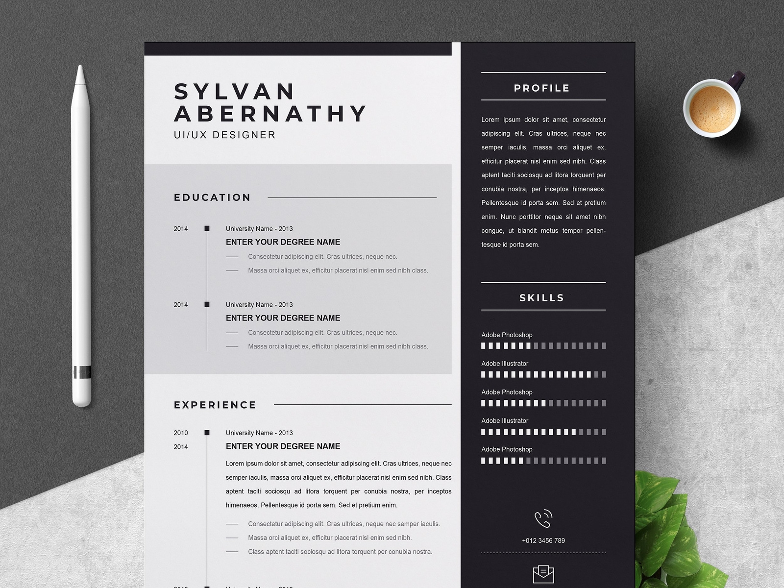 Professional Resume CV Template By Resume Templates On