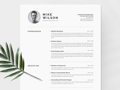 Clean Cv-Resume a4 clean resume creative resume curriculum vitae cv cv template design doc minimal minimal resume modern modern cv modern resume professional professional resume resume resume template template us letter word template