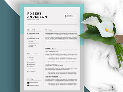 Resume/CV (3 Pages) clean resume cover letter creative resume curriculum vitae cv cv resume cv template minimal minimal resume modern modern cv modern resume professional professional resume resume resume template resume templates template word template