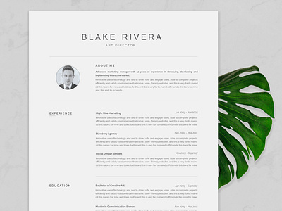 Resume Template / CV clean resume creative resume curriculum vitae cv template download free modern modern resume professional resume resume template template templatedesign