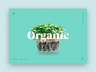 Organic branding design minimal type typography