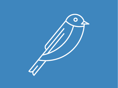 Blue bird